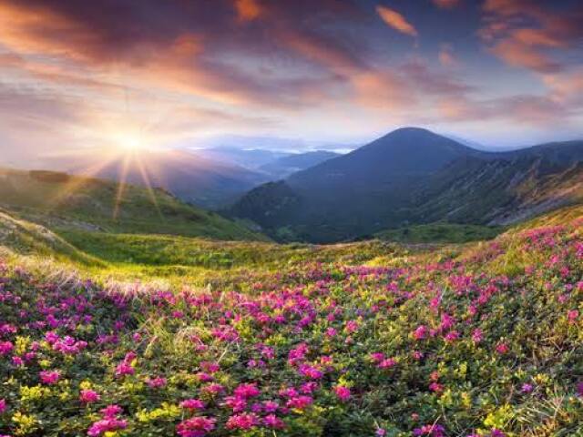 Primavera