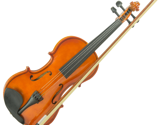 Violino