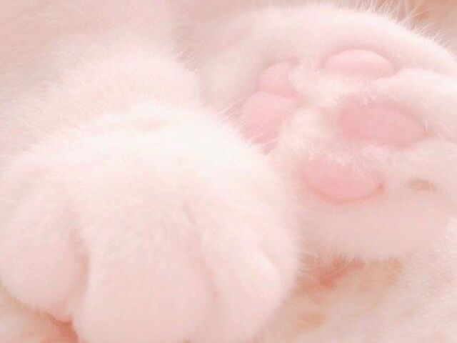 ☁️ SOFT ☁️