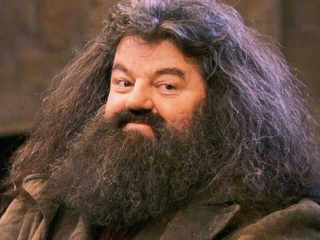 Hagrid