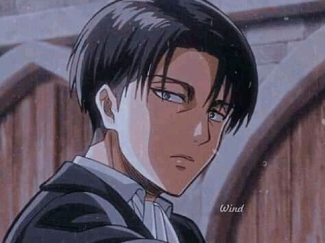 Levi