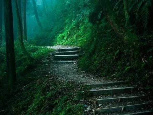 Uma floresta sombria, o caminho mais curto