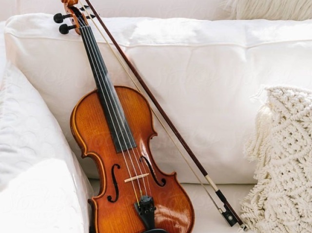 Violino