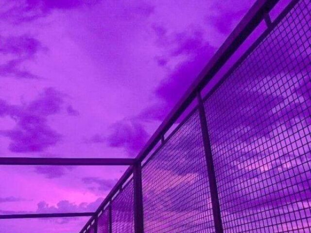 Roxo 🔮