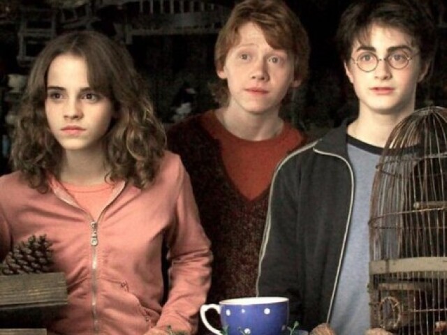 Quem você seria em Harry Potter?