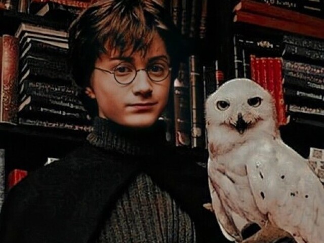 Harry Potter
