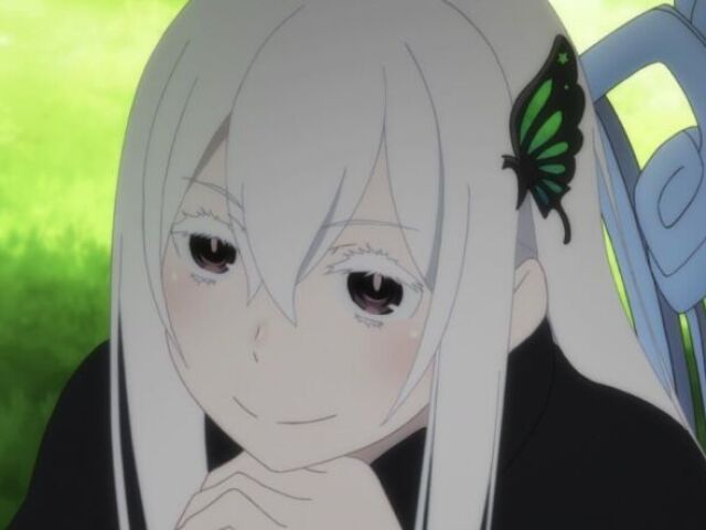 Echidna