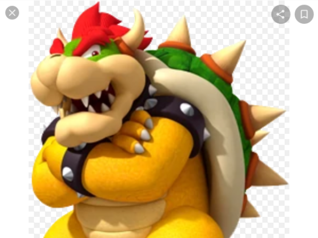 Bowser