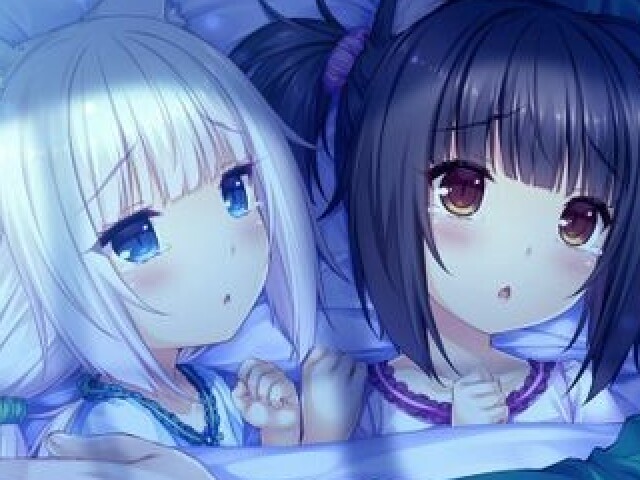 vanilla ou chocola