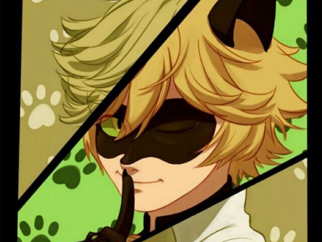 100% Chat Noir