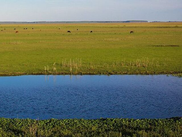 Pampa, Pantanal e Amazônia