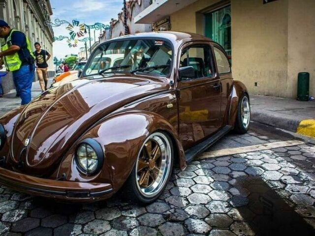 Fusca marrom