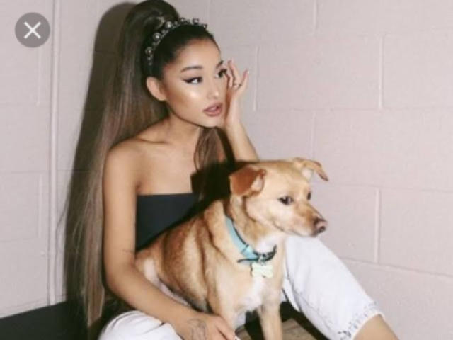 Ariana
pop