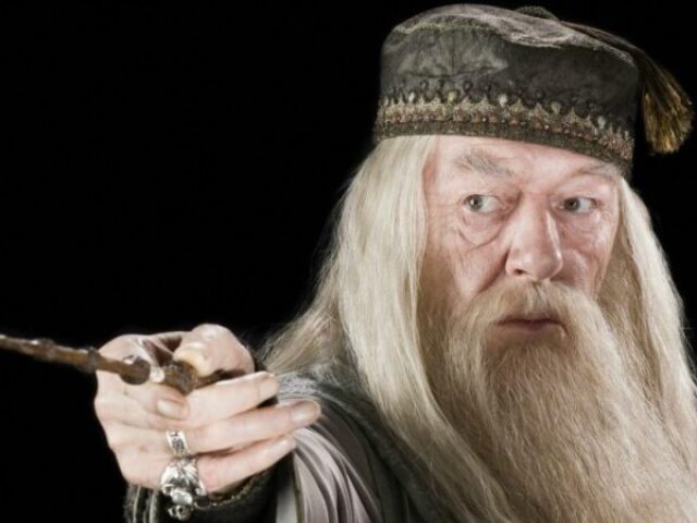 Professor Dumbledore