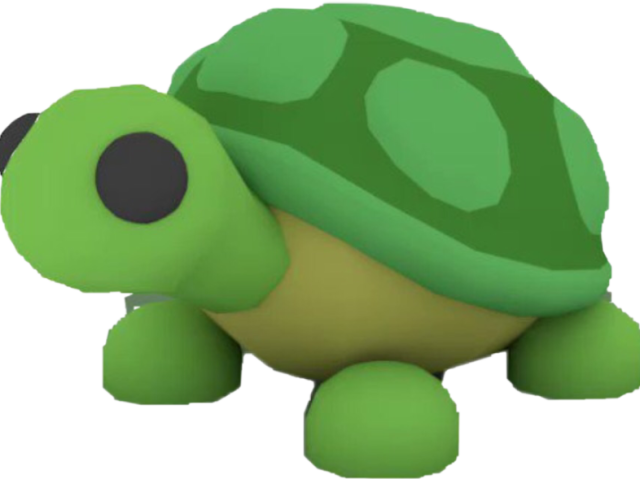 Turtle