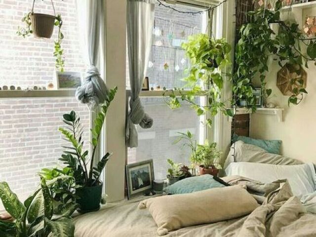 Quarto plantas