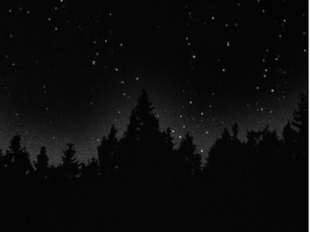 Dark