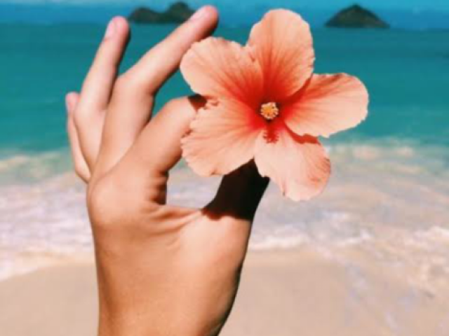 Tumblr