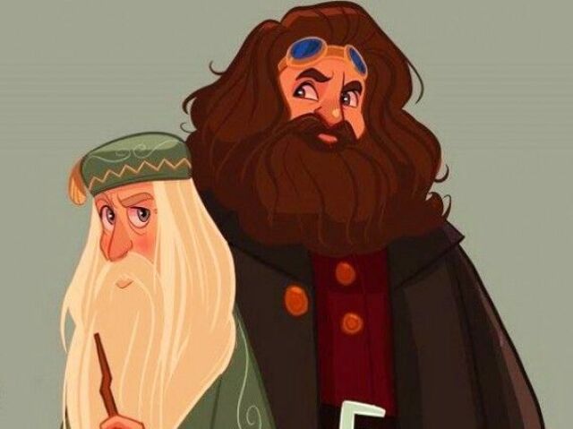 Hagrid e Dumbledore