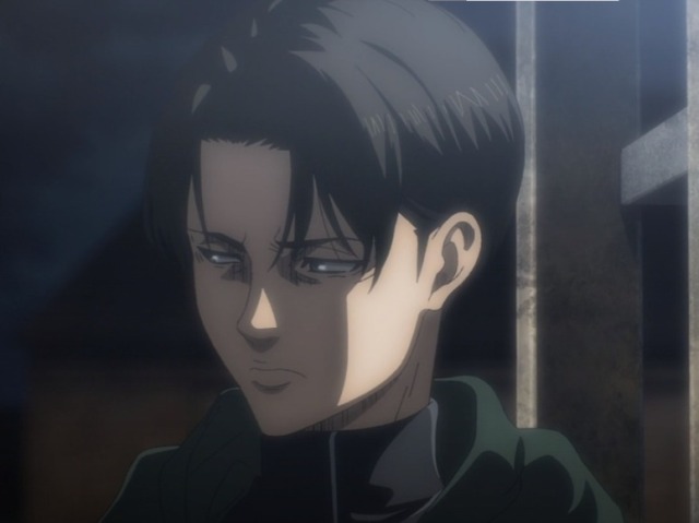 Levi