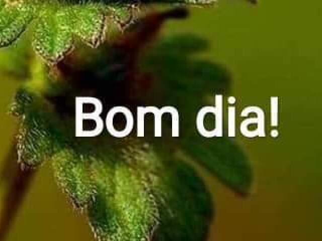 Ficaria tipo: putz