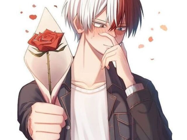 Shouto Todoroki