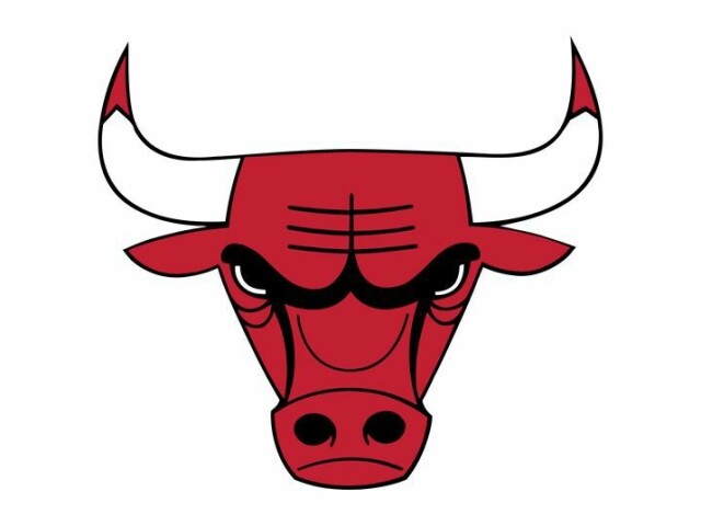 Chicago Bulls