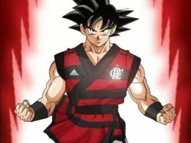 goku flamengista preciso falar mais?