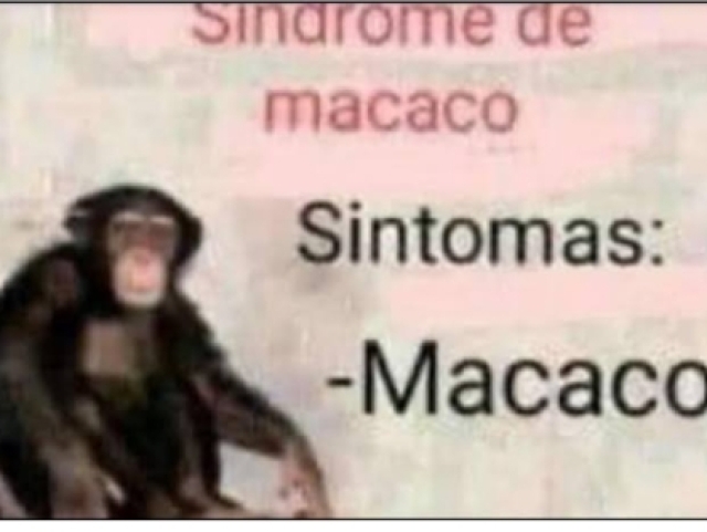 Mamaco🐒