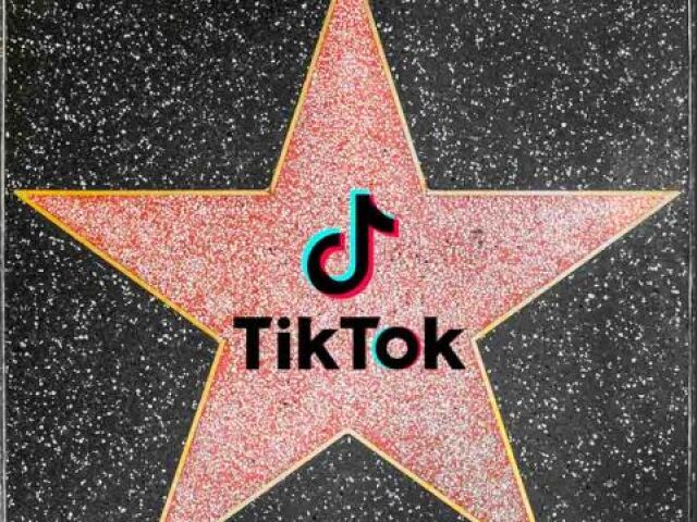 Como seria sua vida se você fosse uma Tiktoker famosa?