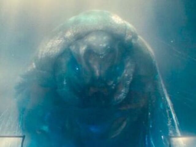 Mothra Larva