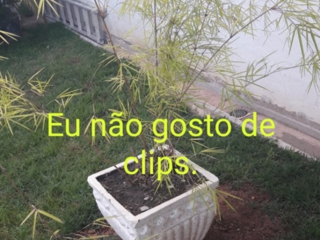 Eu não gosto de clips.