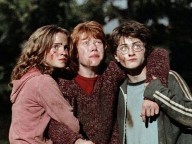 The Golden Trio (Hermione, Harry e Ron)