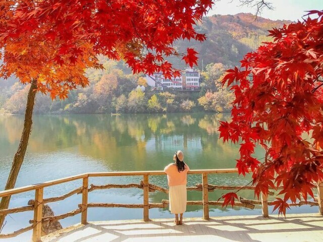 Ji-ae (지애)