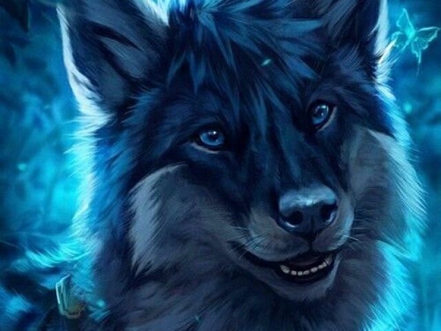 Lobo