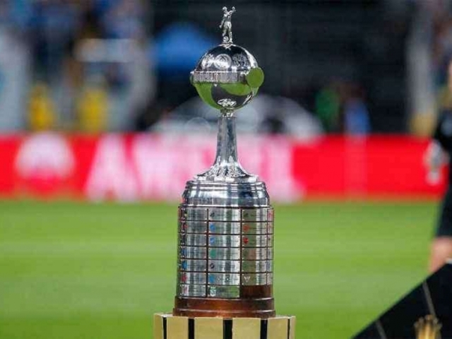 Você conhece bem a libertadores?