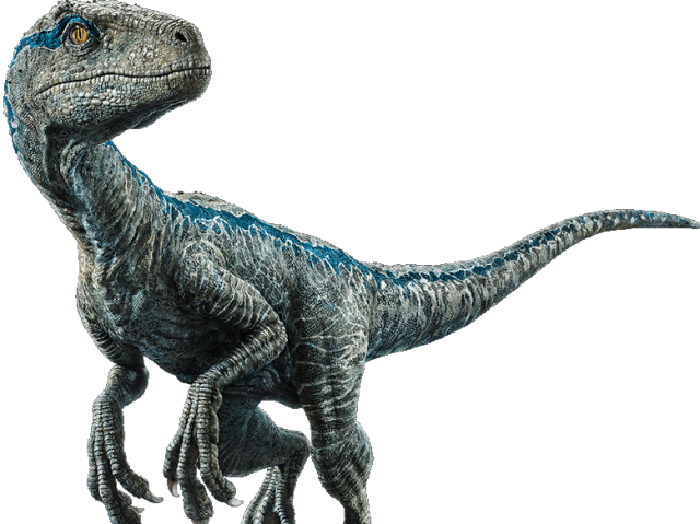 Blue/Velociraptor