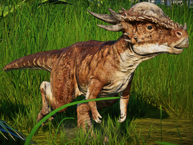 Stigymoloch