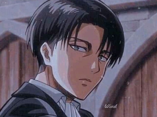 Levi