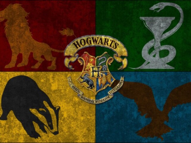 Qual seria sua casa em Hogwarts?