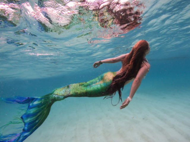 Sereia.