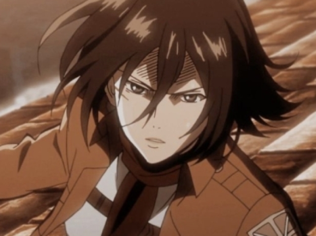 Mikasa🏚