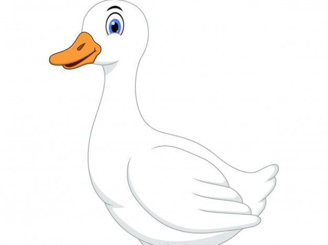 Pato