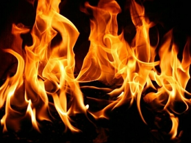 Fogo