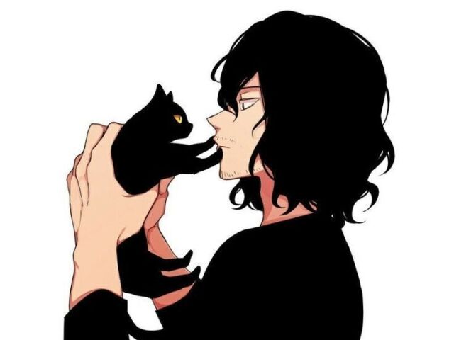 Aizawa 🐱Amante de gatos🐱