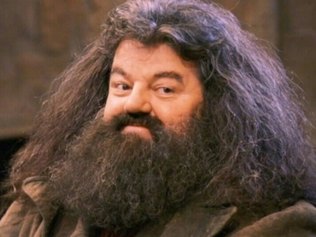 Hagrid