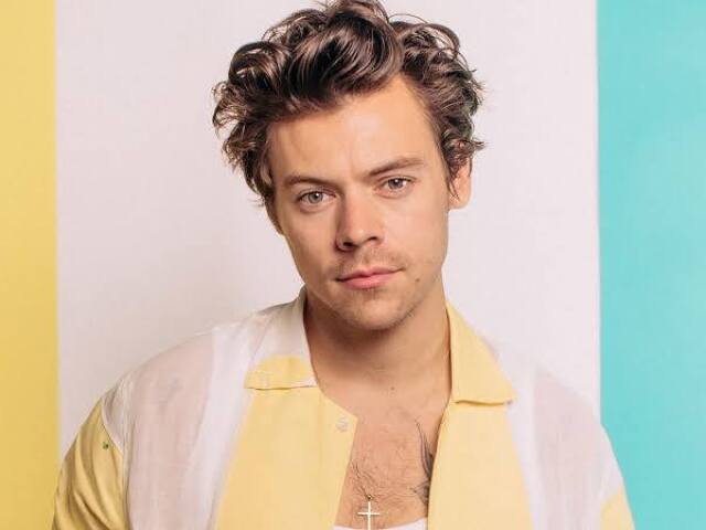 harry styles