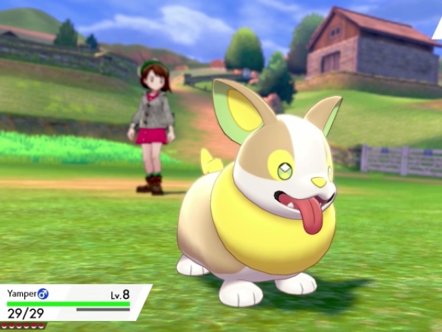 Yamper