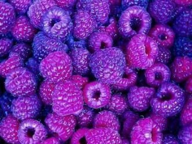 roxo (purple)