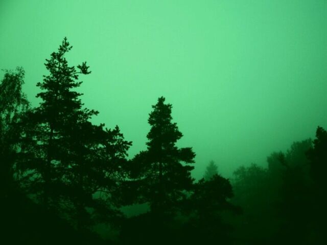 verde (green)